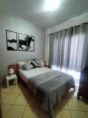 Entire Apartment